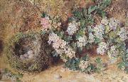 William Henry Hunt,OWS Chaffinch Nest and  May Blossom (mk46) Sweden oil painting artist